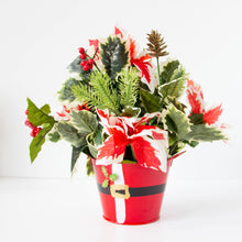 Load image into Gallery viewer, Poinsettias in a Santa Bucket
