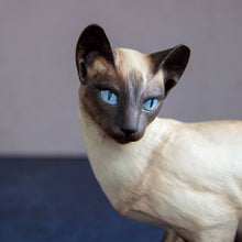 Load image into Gallery viewer, Siamese Cat Figurine by Tenney
